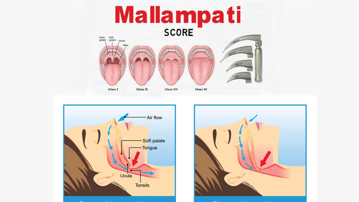 Evaluation and Management of Obesity